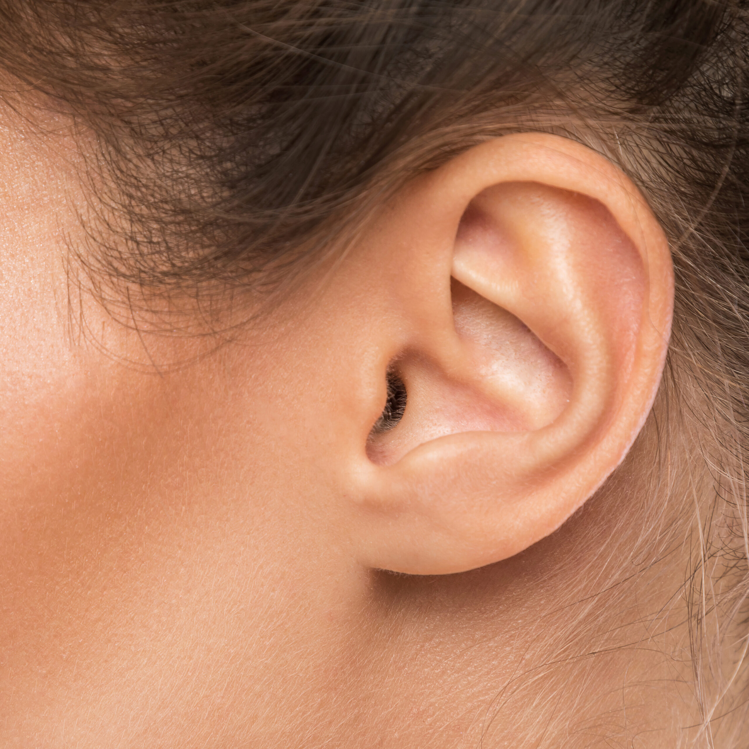 Female ear